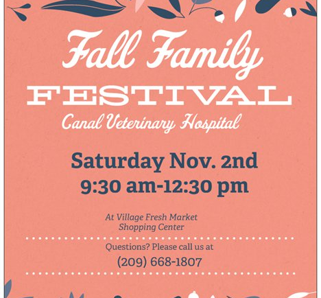 Fall Family Festival this Saturday
