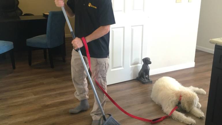 Sweeping the Floors with a Puppy