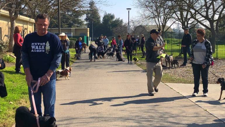 Pack Walk Welcomes All Breeds & Ages