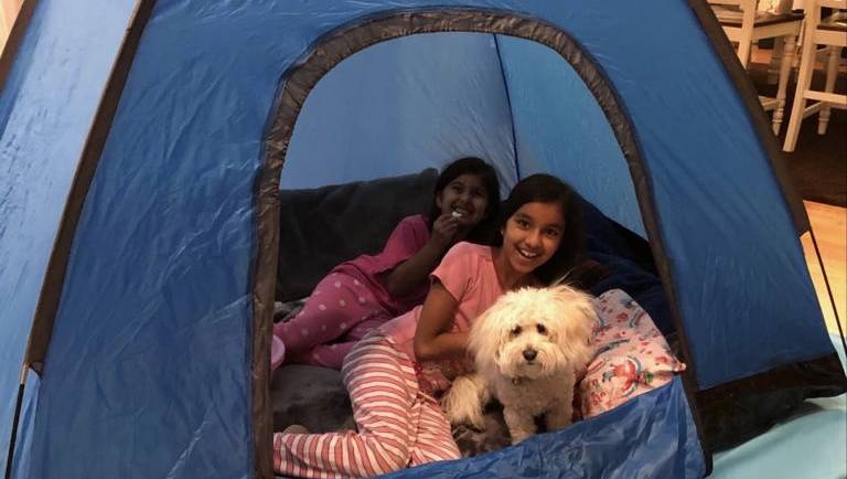 Camping With Your Dog