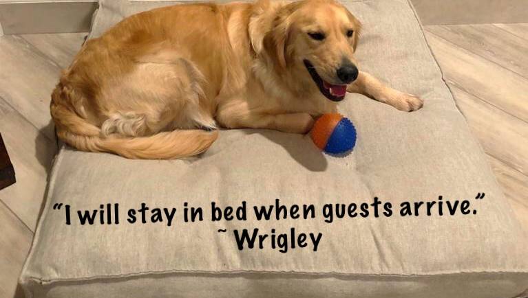 Wiggly Wrigley