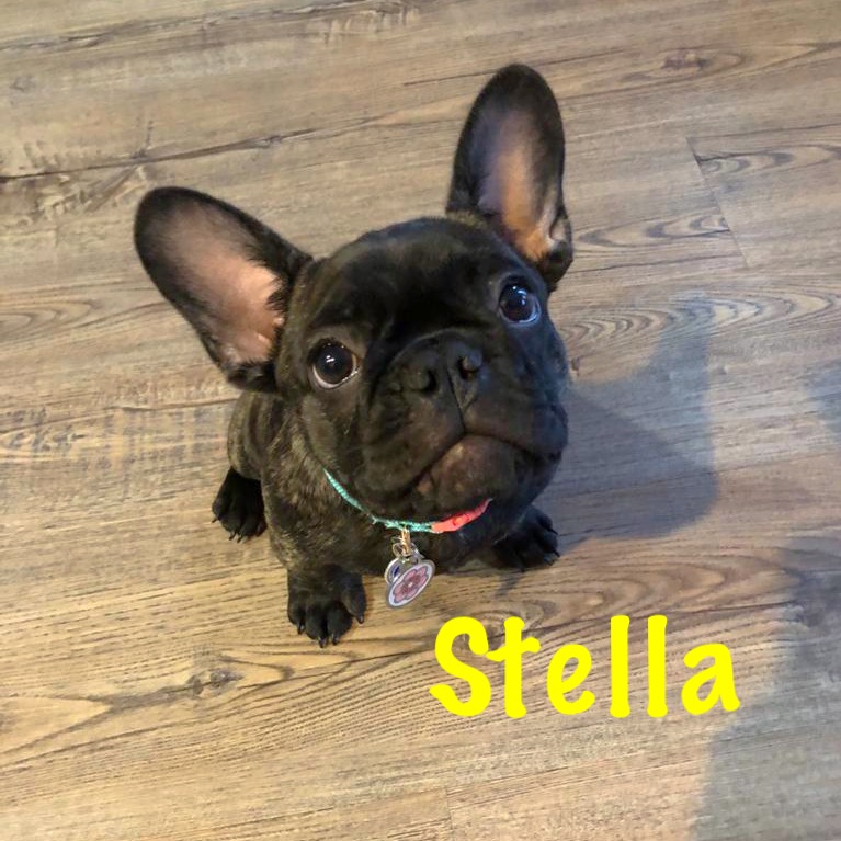 Super Stella