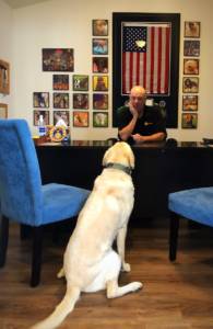 Free Consultation Block @ A+ Dog Training | Turlock | California | United States