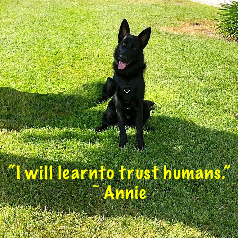 Anxious Annie