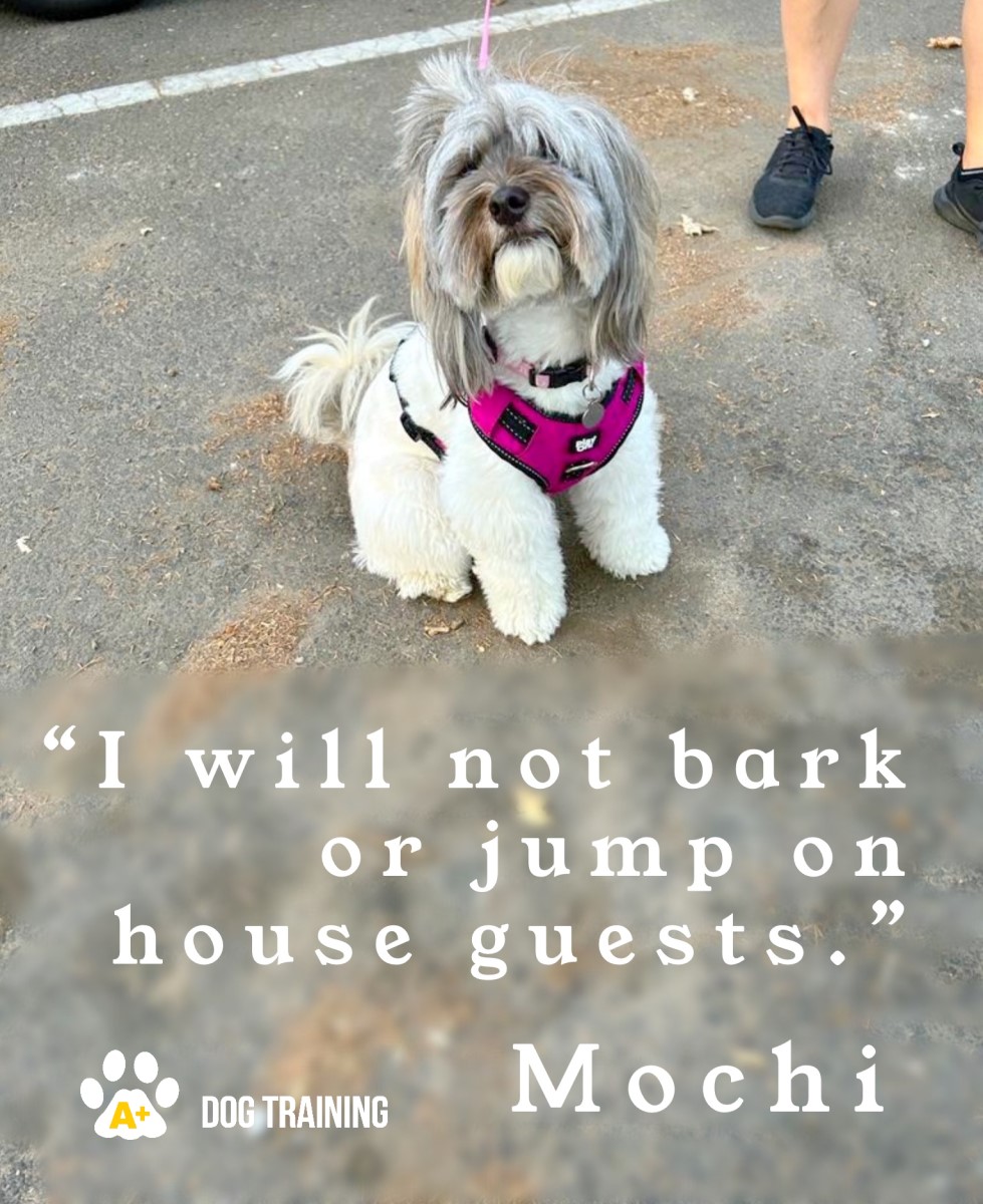 Mochi the Muse