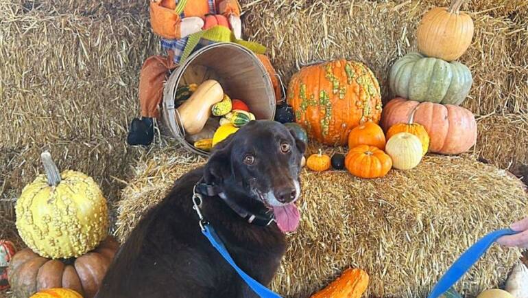 Happy Tongue Out Tuesday