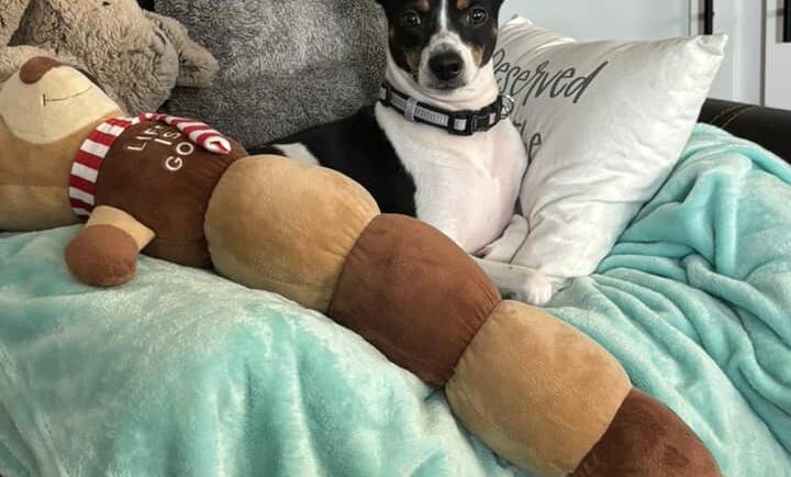 Today’s Feel Good Friday Moment