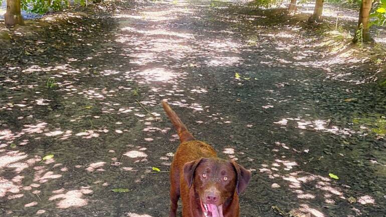 Happy Feel Good Friday!