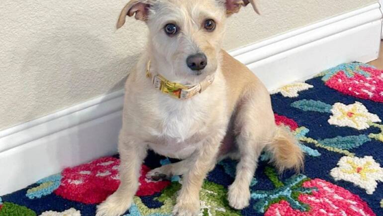 Happy Feel Good Friday!