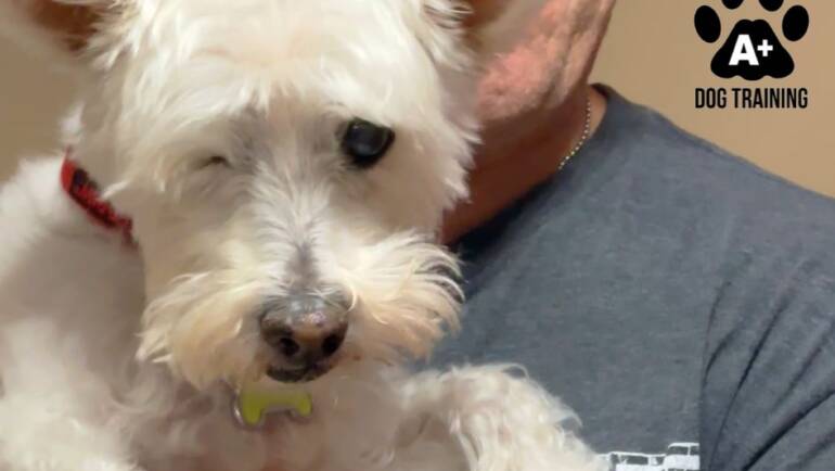 Happy Selfie Saturday!