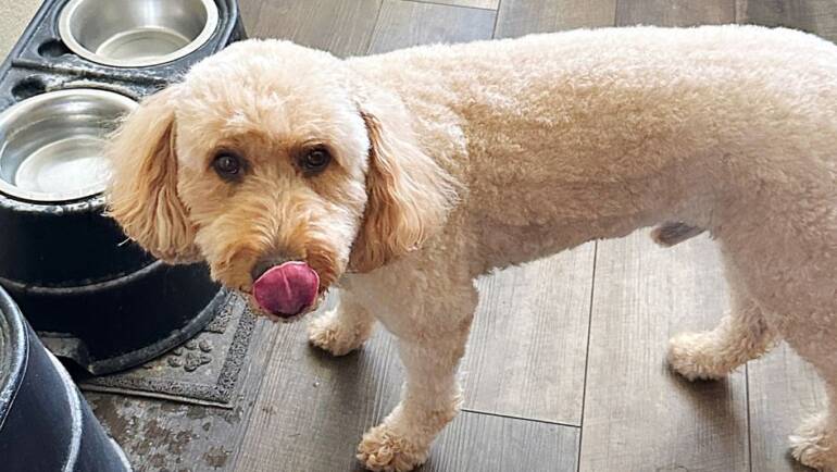 Don’t Forget to Hydrate!