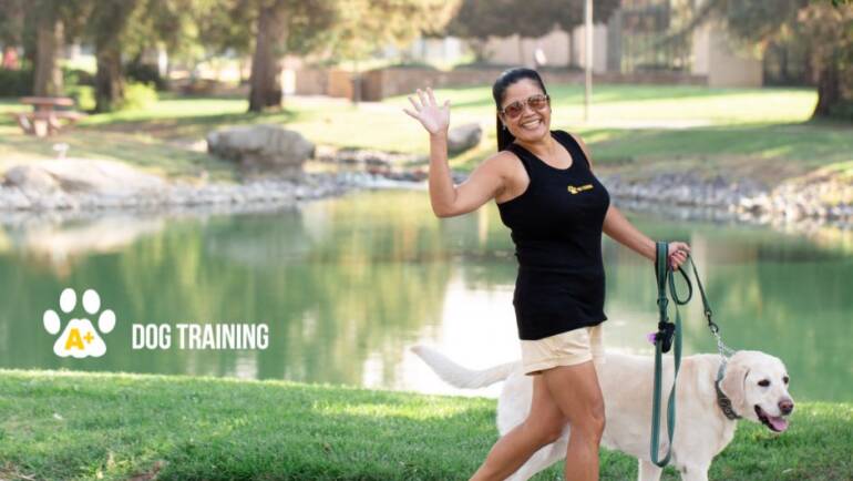 Time to Walk the Dog!