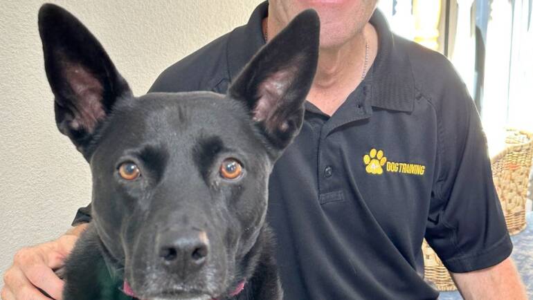 Any Breed.  Any Age.