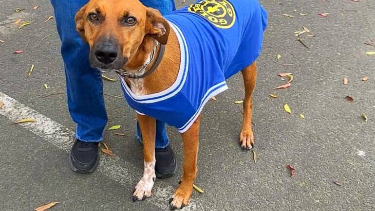 Health & Wellness with Dakota