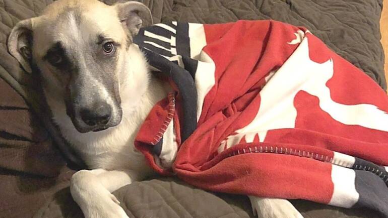 It’s a Feel Good Friday