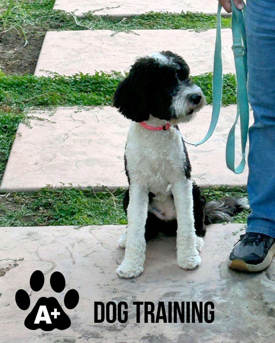 Motivational Monday – Obedience