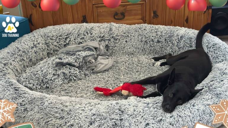 Warm & Wonderful Wednesday