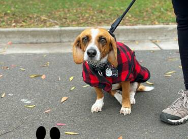 7 Things We Specialize in Training