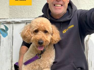 Happy Selfie Saturday!