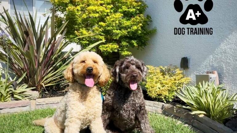 Happy Tongue Out Tuesday!