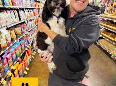 Sign Up With A+ Dog Training