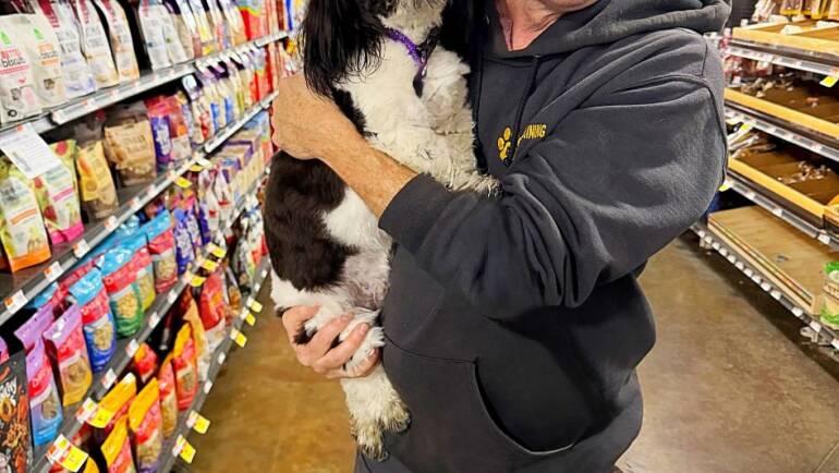 Sign Up With A+ Dog Training