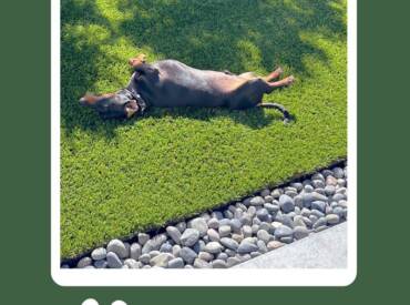 It’s a Feel-Good Friday!