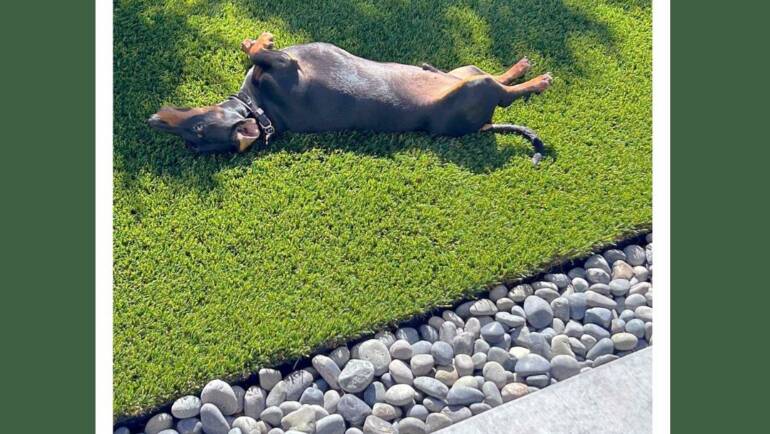 It’s a Feel-Good Friday!