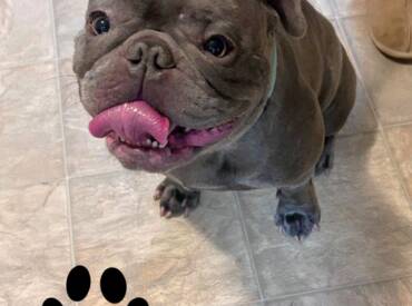 Happy Tongue Out Tuesday!