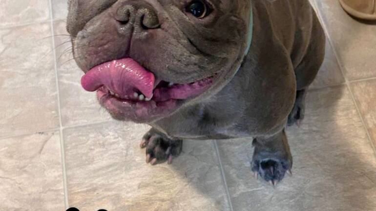 Happy Tongue Out Tuesday!