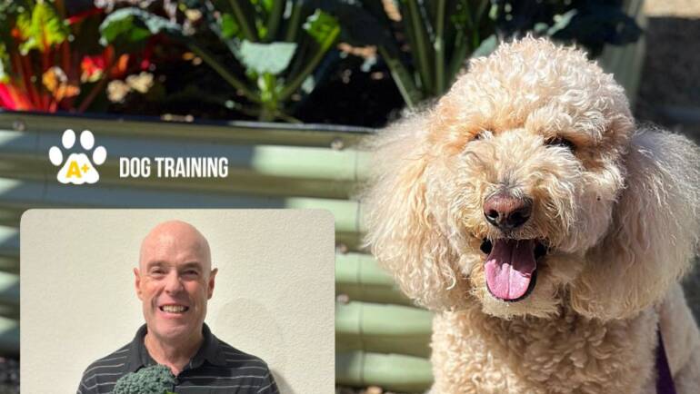 Motivational Monday – Backyard Boundaries