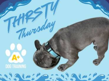 Happy Thirsty Thursday!