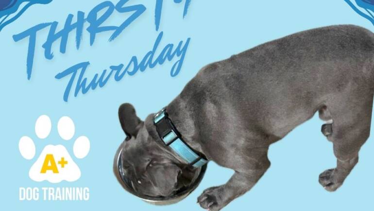 Happy Thirsty Thursday!