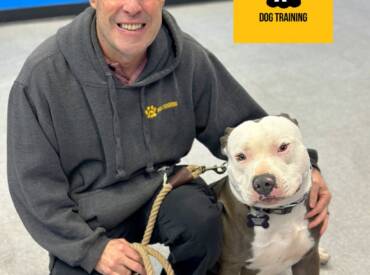 No Group Class Necessary