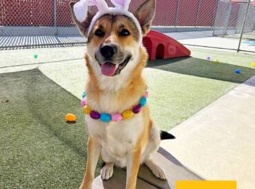 Believe & Be Blessed