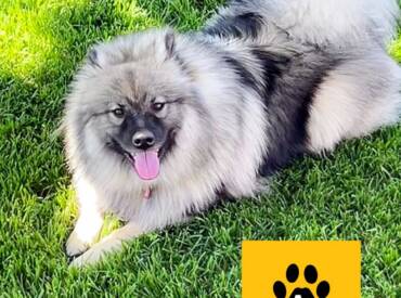 Happy Tongue Out Tuesday!