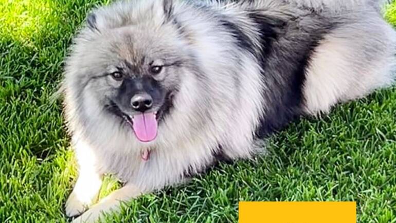 Happy Tongue Out Tuesday!