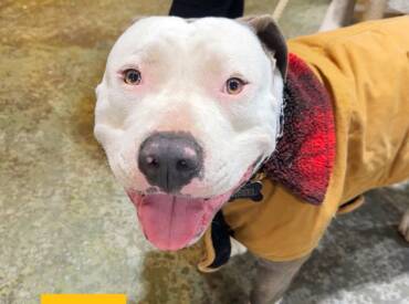 Happy Tongue Out Tuesday!