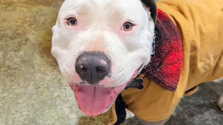 Happy Tongue Out Tuesday!