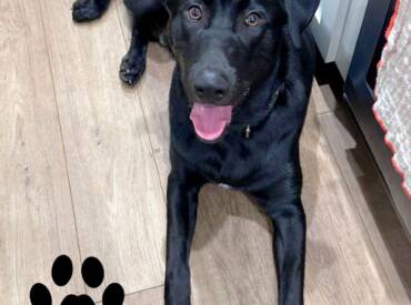 Happy Tongue Out Tuesday!