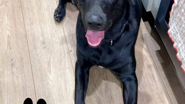 Happy Tongue Out Tuesday!