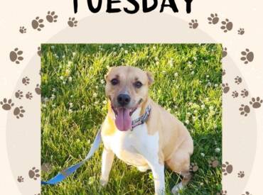 Happy Tongue Out Tuesday!