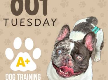 Happy Tongue Out Tuesday!