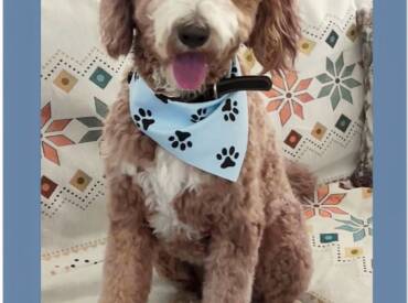Happy Tongue Out Tuesday!