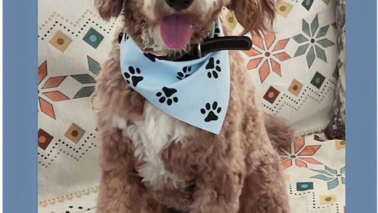 Happy Tongue Out Tuesday!