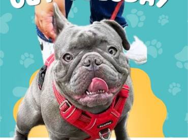 Happy Tongue Out Tuesday!