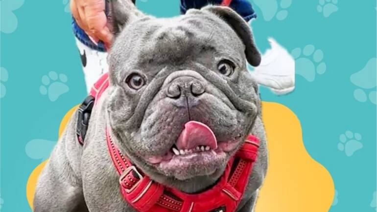 Happy Tongue Out Tuesday!
