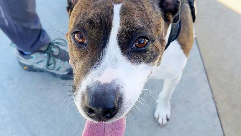 Tongue Out Tuesday