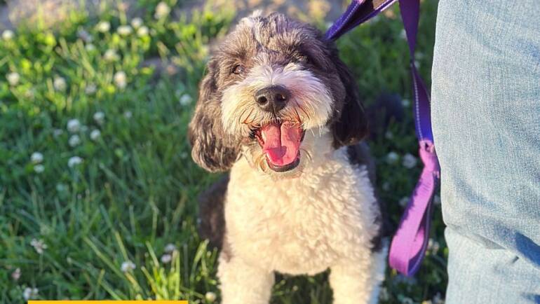 Happy Tongue Out Tuesday!