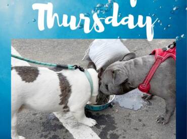 Happy Thirsty Thursday!